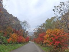 -大连天门山国家森林公园