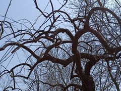 -鉴湖国家城市湿地公园