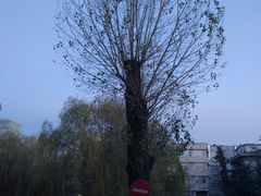 -北京积水潭医院-停车场