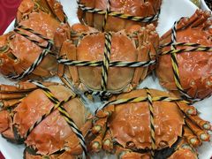 -野生蟹鲜楼(渔家灯火店)