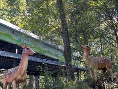 -洛阳白云山景区