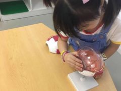 -斯坦星球AI编程·机器人科创·科学实验·信奥·思维·STEM·积木拼搭·竞赛考级(浦东联洋广场大拇指龙阳御桥中心)