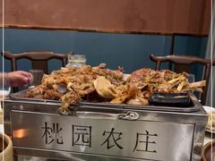 -桃园农庄烤全羊(江秋路店)