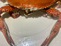 -开海·红岛海鲜虾水饺(石老人店)