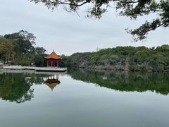 -广州莲花山旅游区
