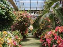 -呀路古热带植物园