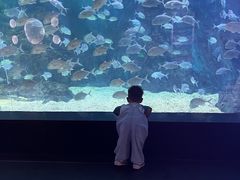 -烟台海昌鲸鲨海洋公园