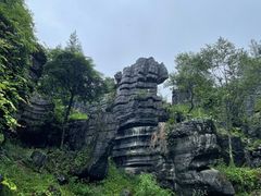 -梭布垭石林景区