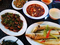 生腌血蚶-吴记富苑(朝阳店)