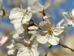 -徐家汇源景区-衡山公园