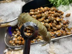 -海吃海喝海鲜烤肉炭火主题自助餐(朝阳店)