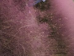 -南通洲际绿博园