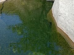 -黑龙潭风景区