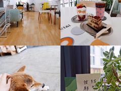 -隹木咖啡馆(宝龙广场店)