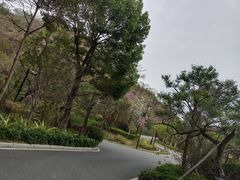 -清远熹乐谷温泉度假酒店