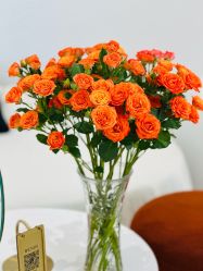 -WENDY·温迪皮肤管理