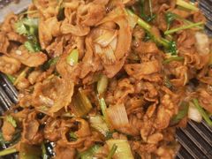 -大鸭梨烤鸭店(花园村店)