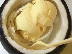 -志龙皇冠吃货椰子铺