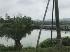 -枫香湖儿童公园