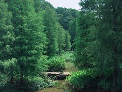 -云溪植物园