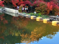 -龙道沟景区