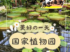 -国家植物园南园