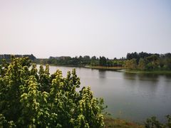 -东郊湿地公园