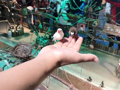 -萌宠奇缘