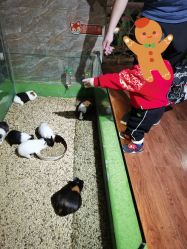 -未来动物城动物主题公园(大悦城店)