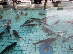 -力力渔港涉外店