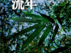 -望江楼公园