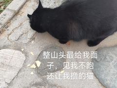 -北京凤凰岭