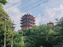 -黄鹤楼公园(黄鹤楼)