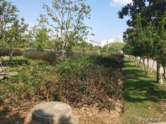 -江南大学(蠡湖校区)