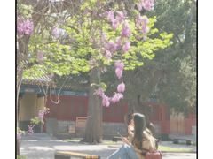 -北京国子监胡同