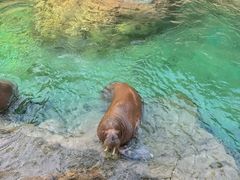 -珠海长隆海洋王国