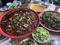 -东吴霸王兔(松青路店)