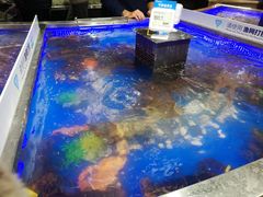 -盒马鲜生(莱蒙都会店)