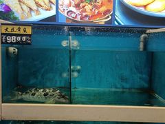 -鲜鲜·鲅鱼圈海鲜(于洪店)