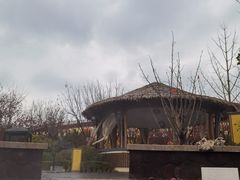 -大连金石滩绿发温泉假日酒店
