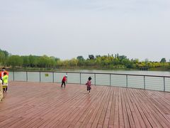 -东郊湿地公园