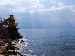 -洱海月湿地公园