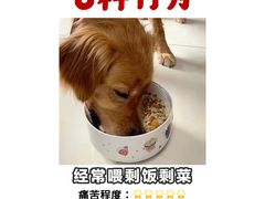 -立德动物医院·异宠·CT·鹦鹉(天河店)