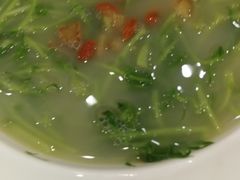 上汤豆苗-岭南海晏楼(东晓南店)
