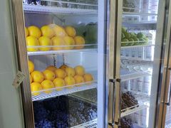 -雾与山茶(大禹城店)