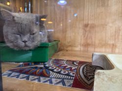 -青木造型HAIR·あおき髪を刈る潮人店