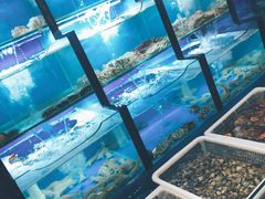 水产区-老东镇啤酒屋海鲜加工·蒸汽海鲜·海鲜烧烤(台东店)