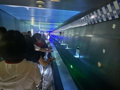 -白鹤梁水下博物馆
