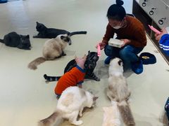 -藏猫猫咖啡主题馆(中央大道店)