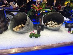 -加餐海鲜自助(宝龙一城店)